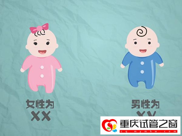 怀孕b超单子看男女-怀孕b超数值怎么看男女(图1)